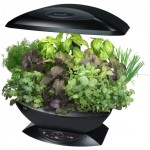 aerogarden-machine-jardin-interieur